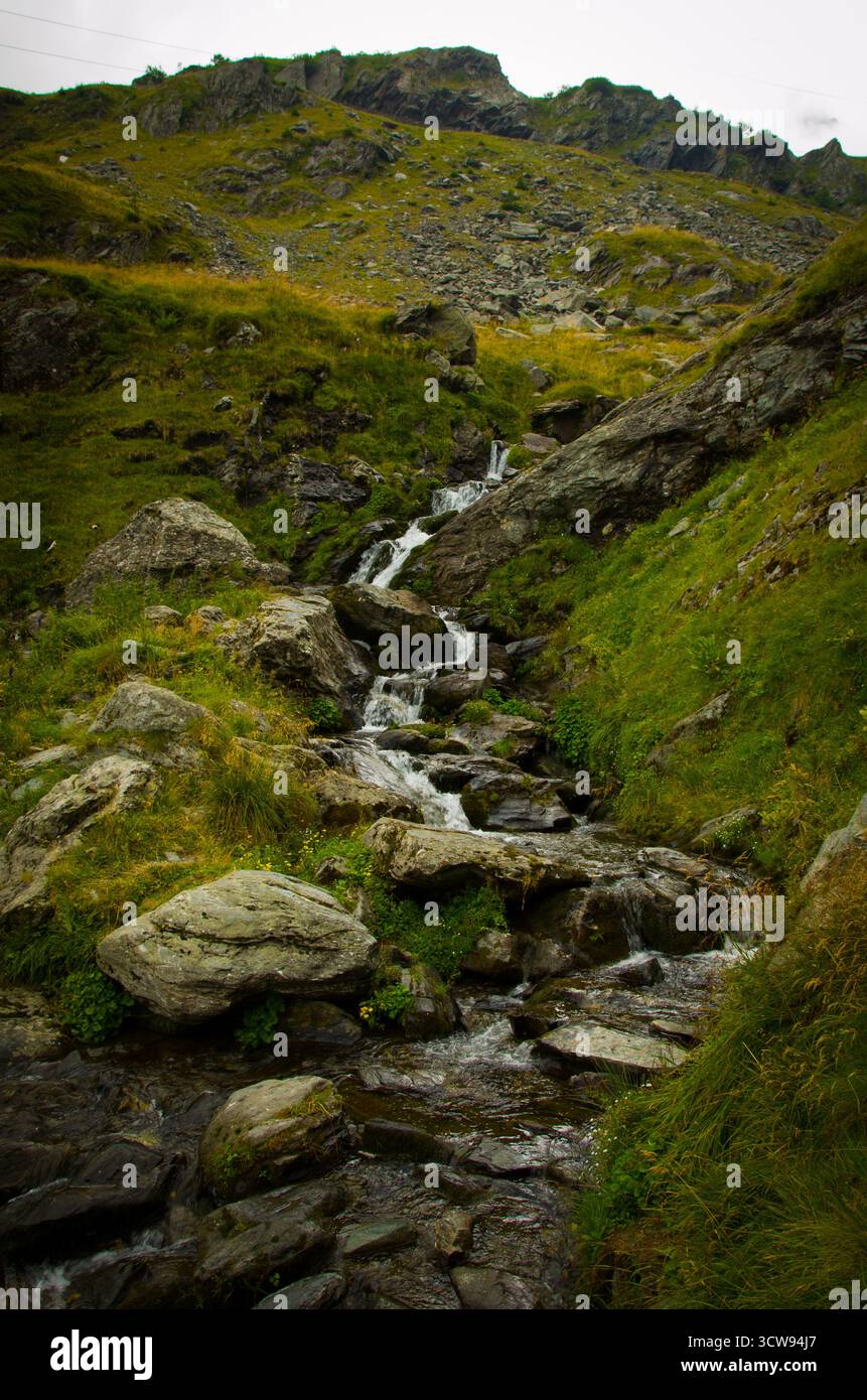 Rugged Alpine Stream Cascade Flowing Over Mossy Boulders and Green ...