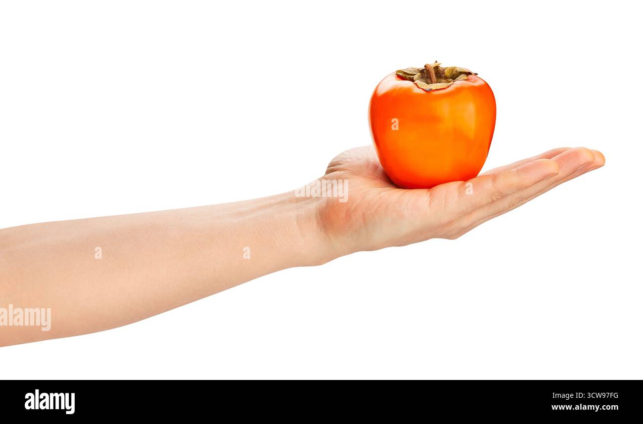 persimmon in hand path isolated on white Stock Photo
