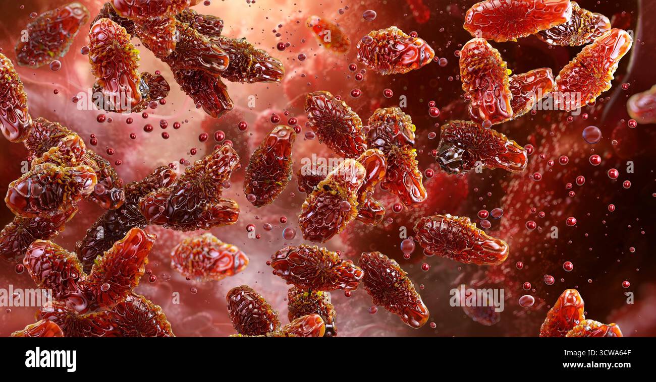 Clostridium botulinum bacteria, illustration. Clostridium botulinum is ...