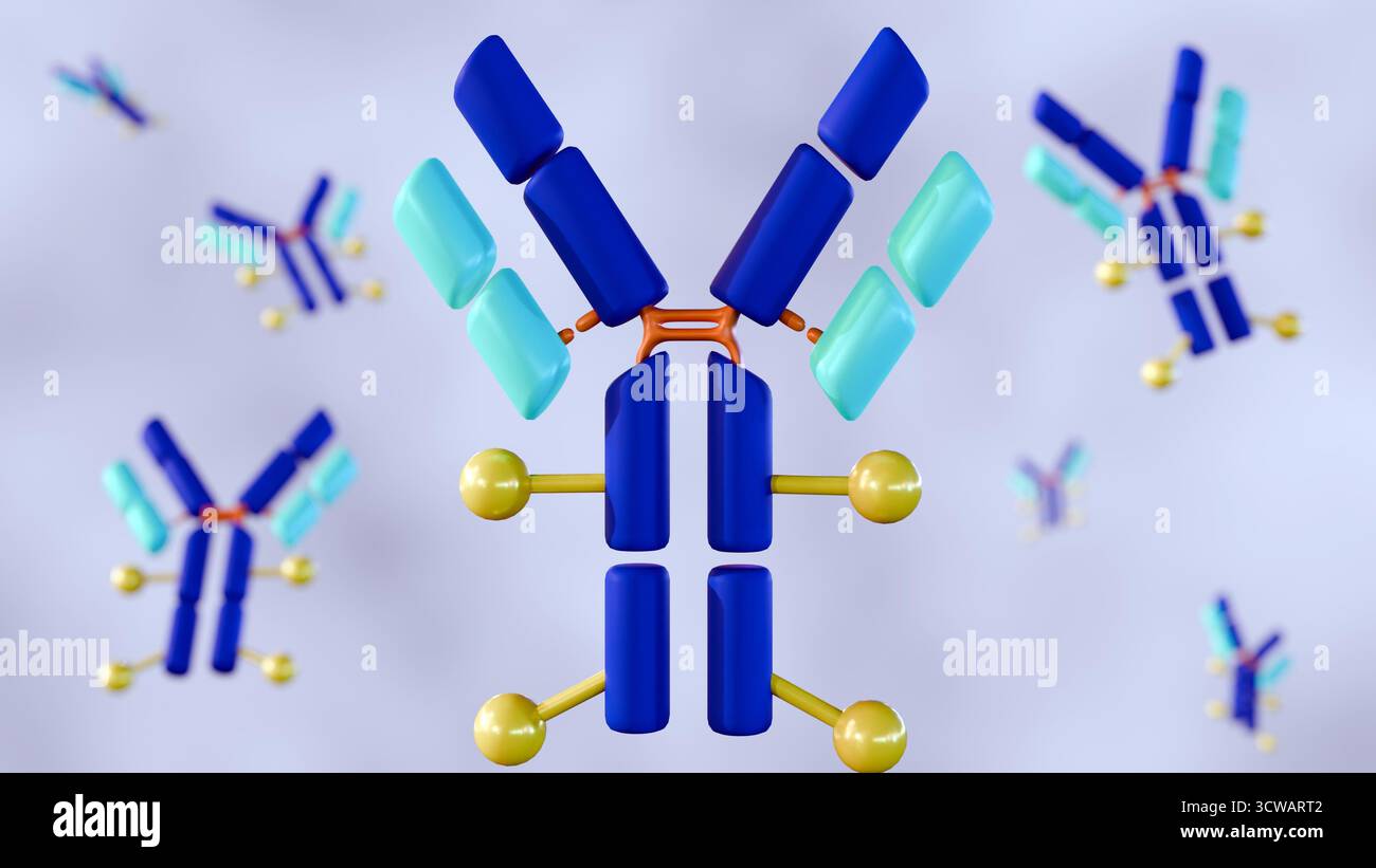 Antibody drug conjugates hi-res stock photography and images - Alamy