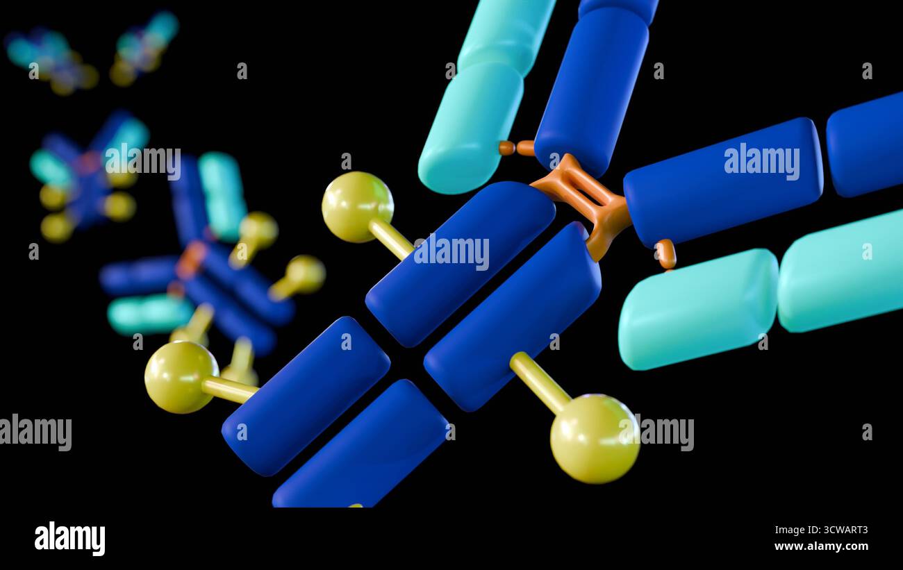 Antibody drug conjugates adcs hi-res stock photography and images - Alamy