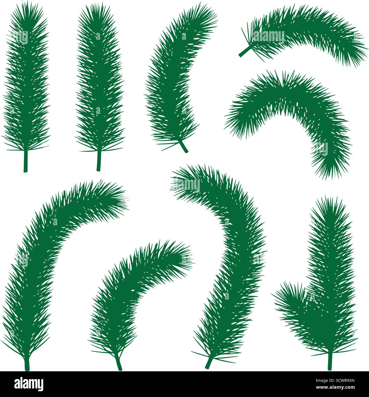 Conifer foliage background in Stock Vector Images - Alamy
