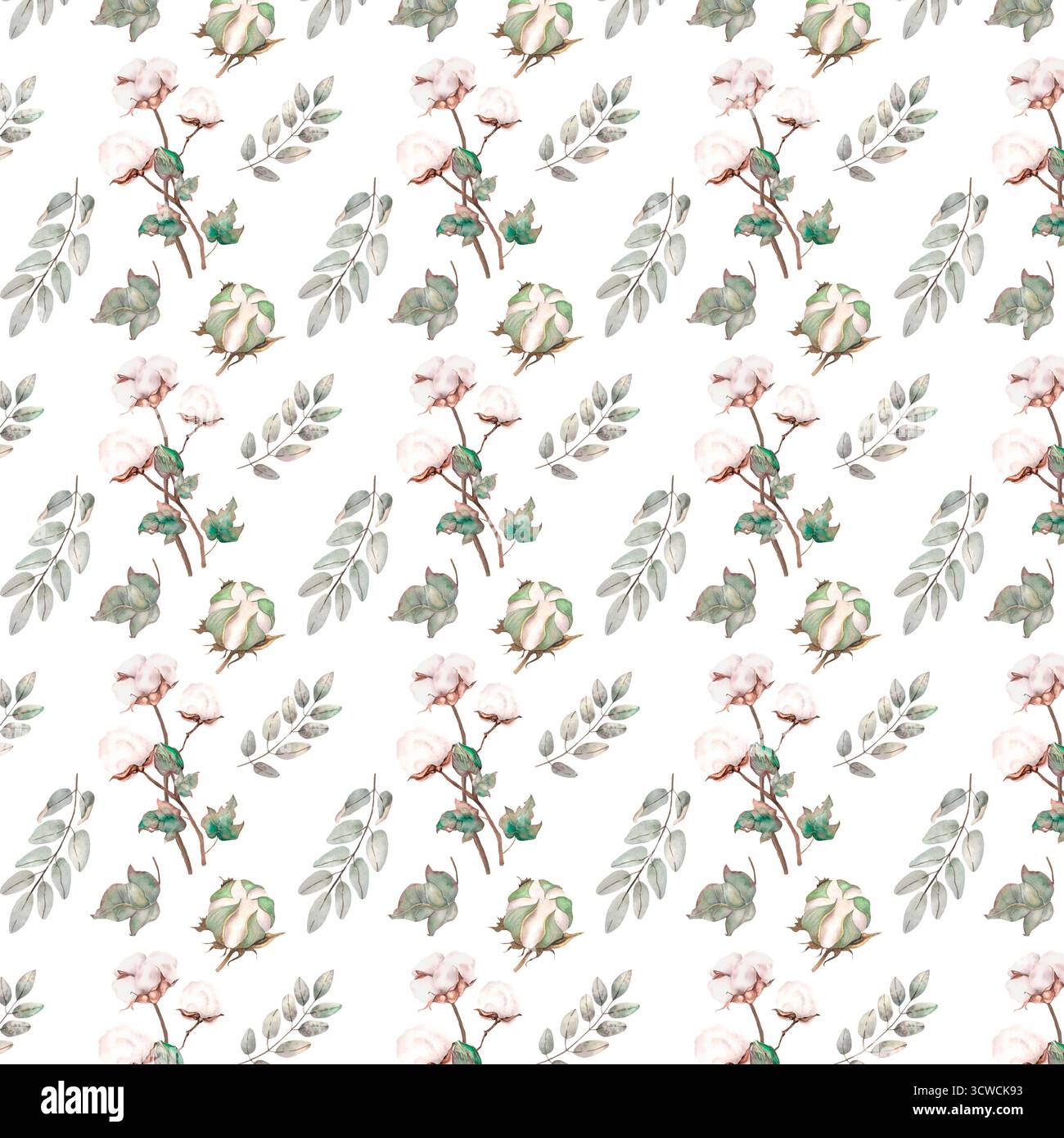 Botanical illustration vintage hi-res stock photography and images - Alamy