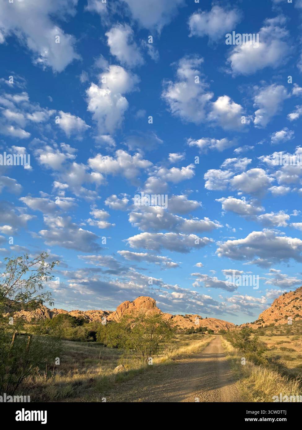Arizona path - Smartphone Captured Stock Image