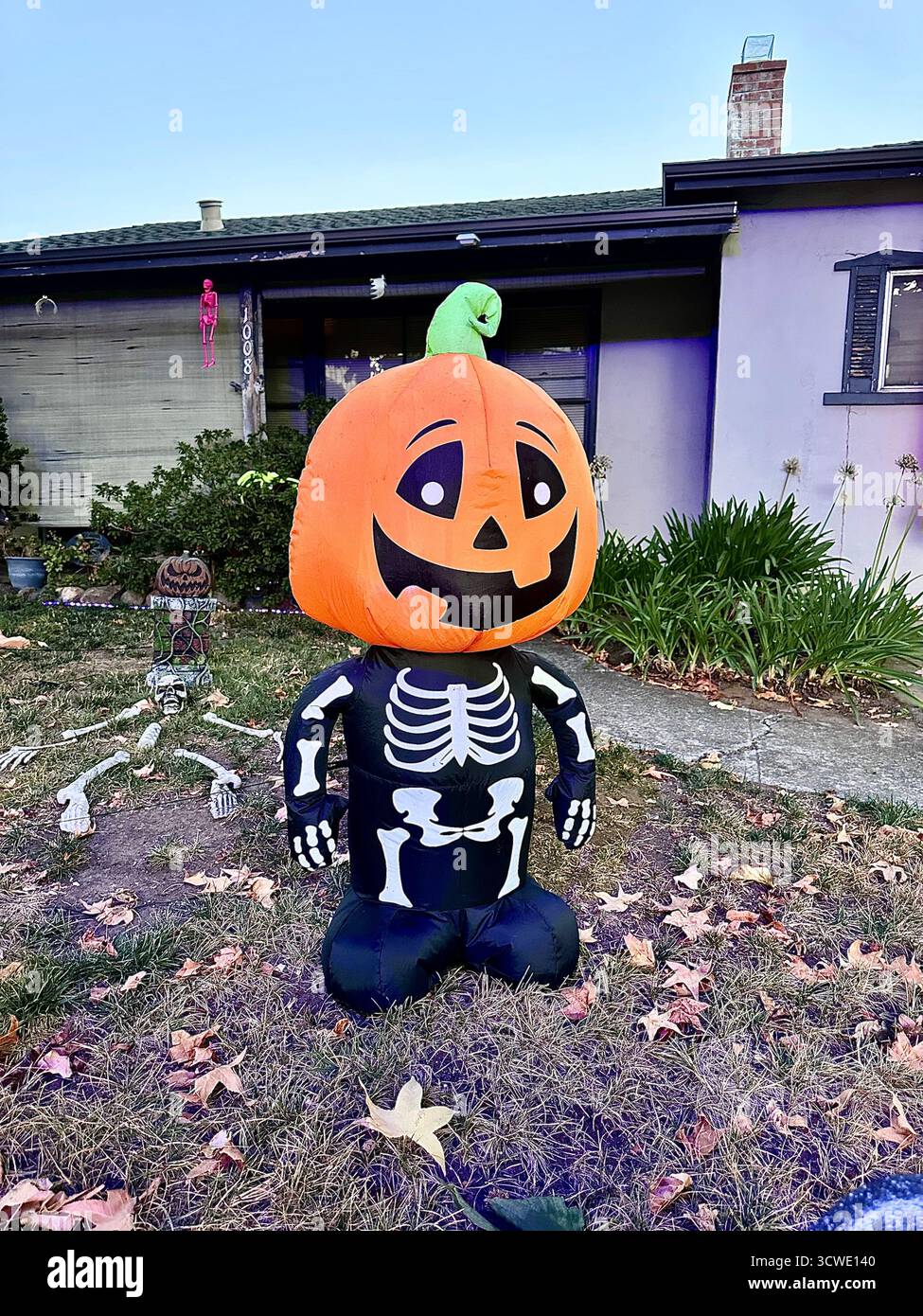 Inflatable Pumpkin Skeleton Halloween Decoration in Front Yard - Smartphone Captured Stock Image