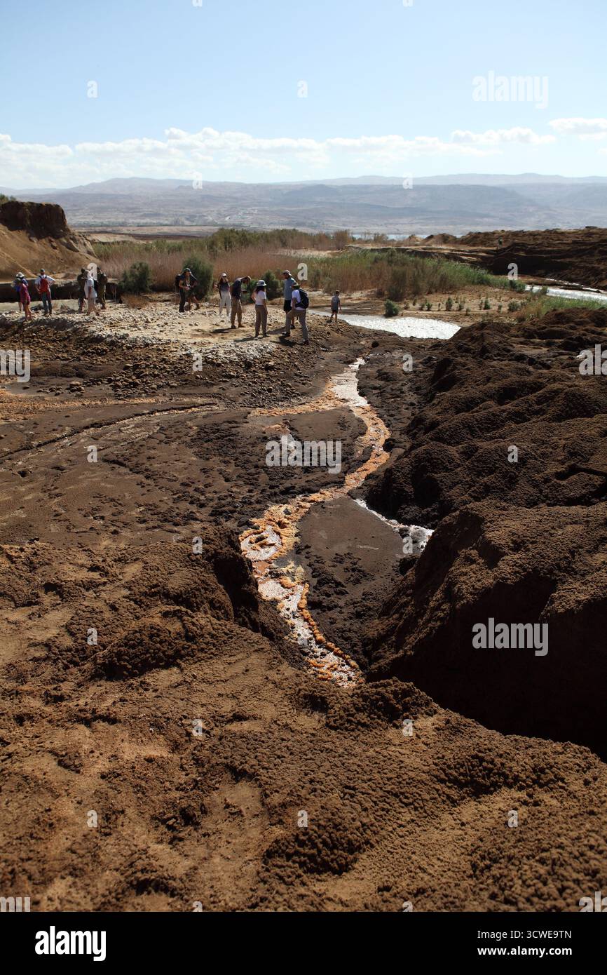 Jordan river estuary dead sea hi-res stock photography and images - Alamy