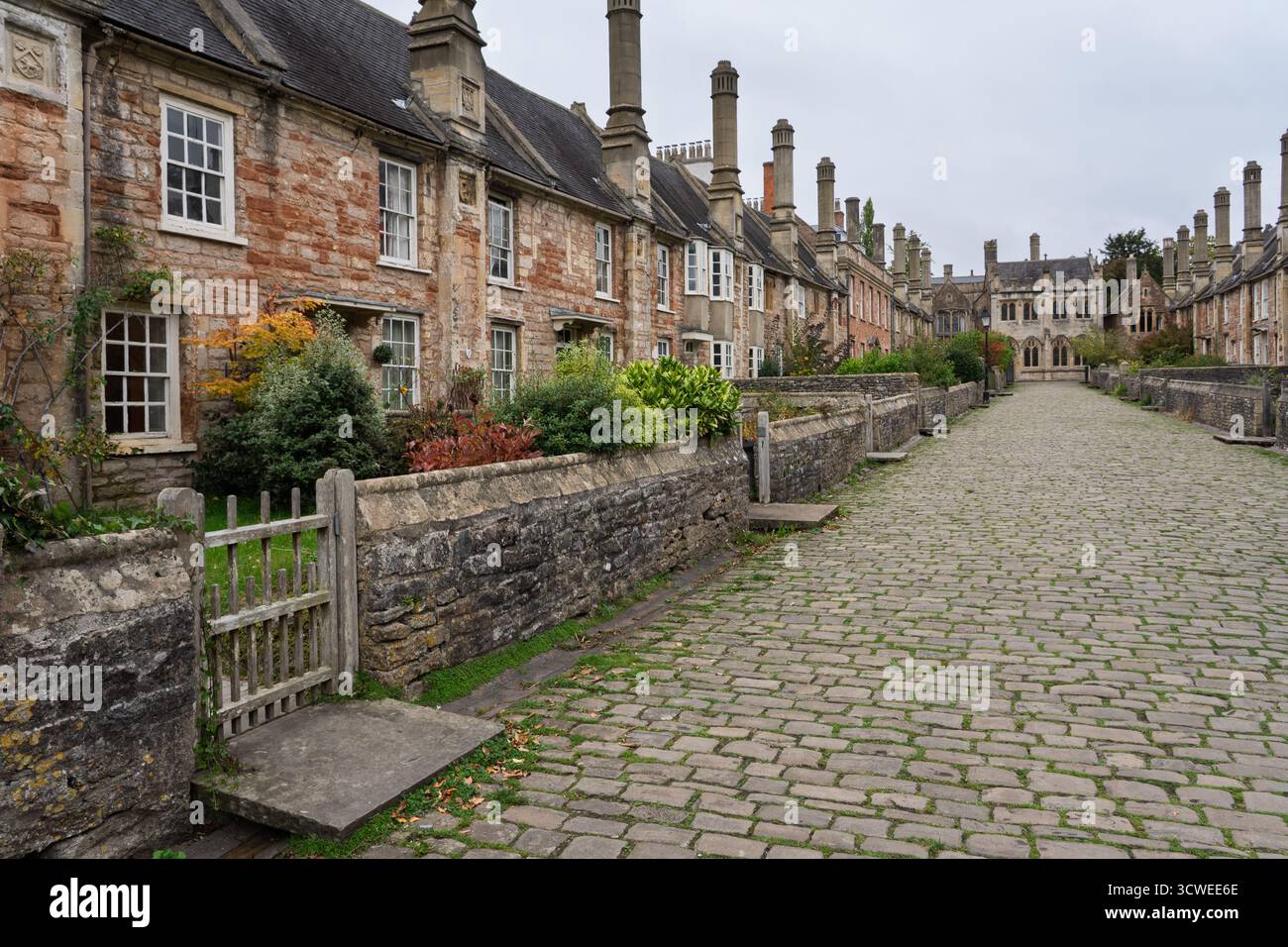 Vicars Close, Wells, Somerset, UK Stock Photo