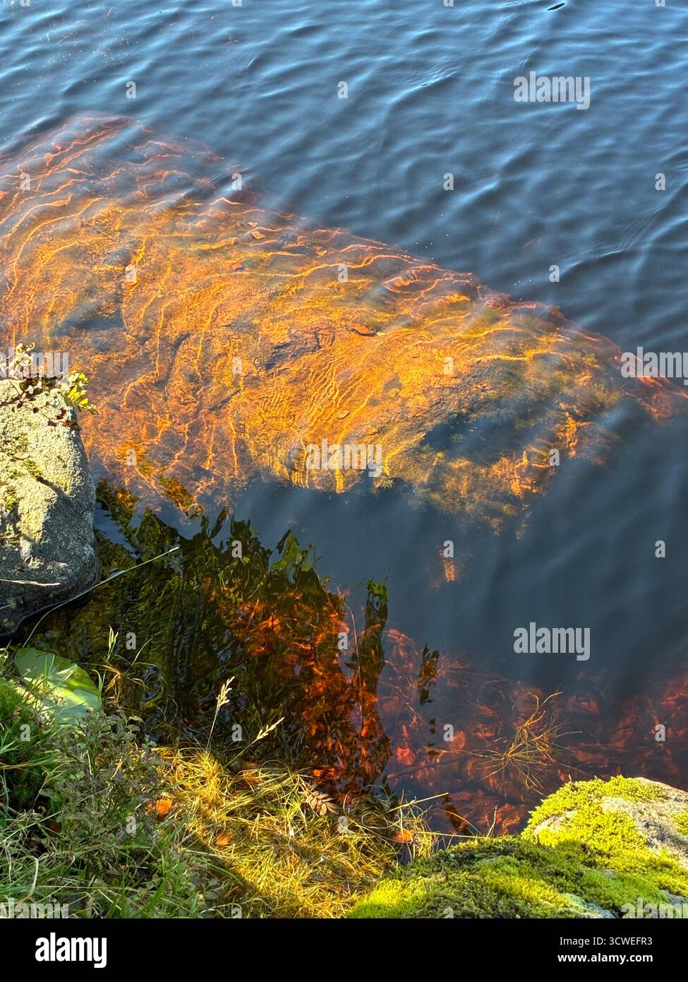 Crystal clear mountain lake's treasure - Smartphone Captured Stock Image