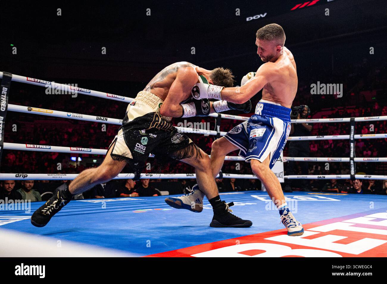 Utilita Arena, Sheffield, UK. 11th Oct, 2025. Matchroom Boxing, Dave ...