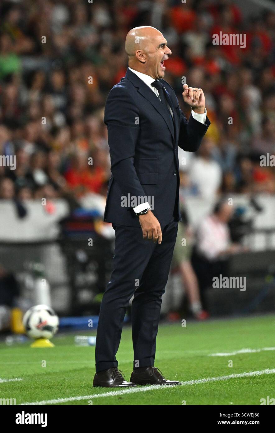 portugal-head-coach-roberto-martinez-reacts-during-the-fifa-world-cup