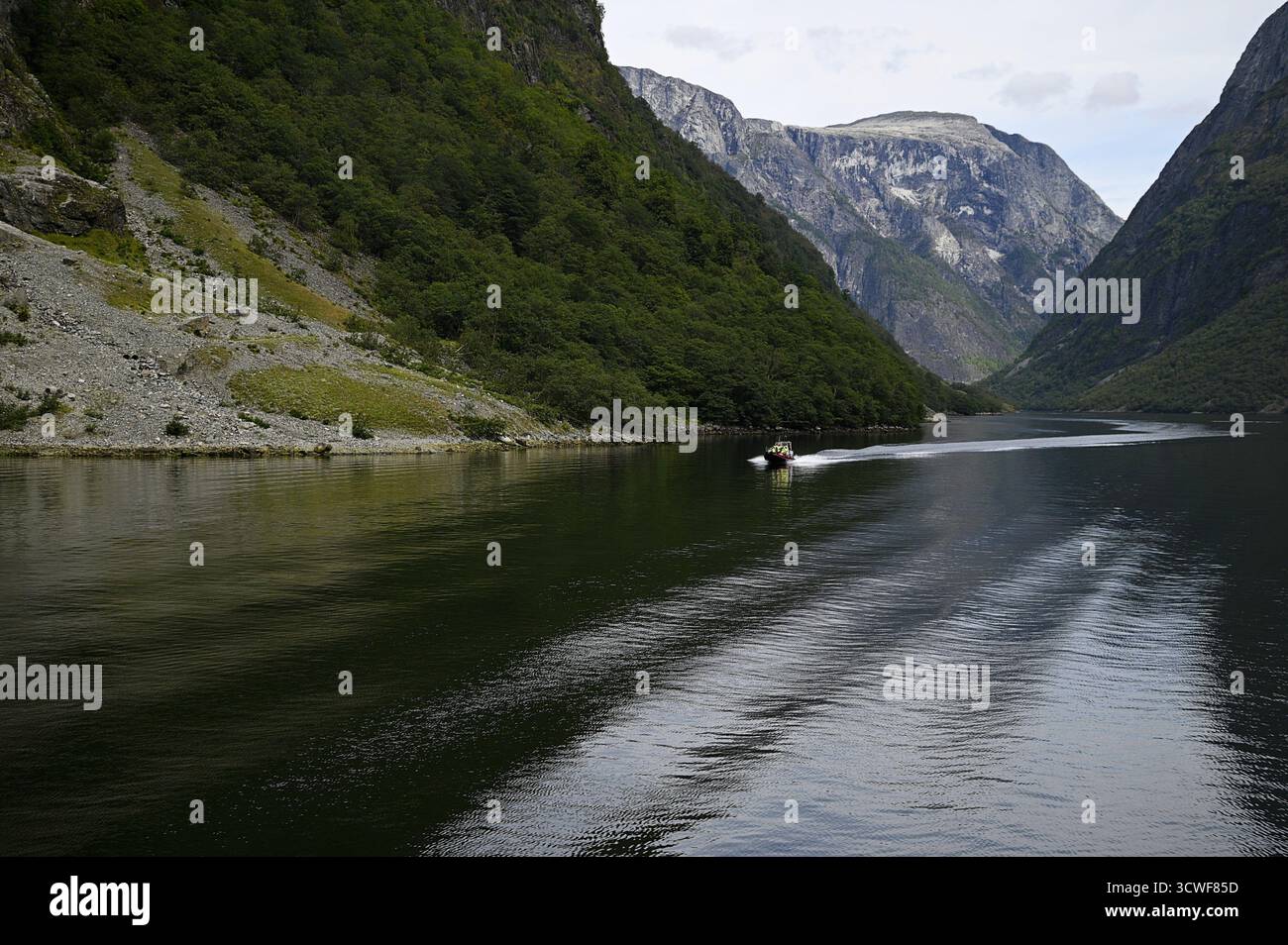 High Speed Rib High speed RIB boat on the waters of the longest and deepest Sognefjord ...