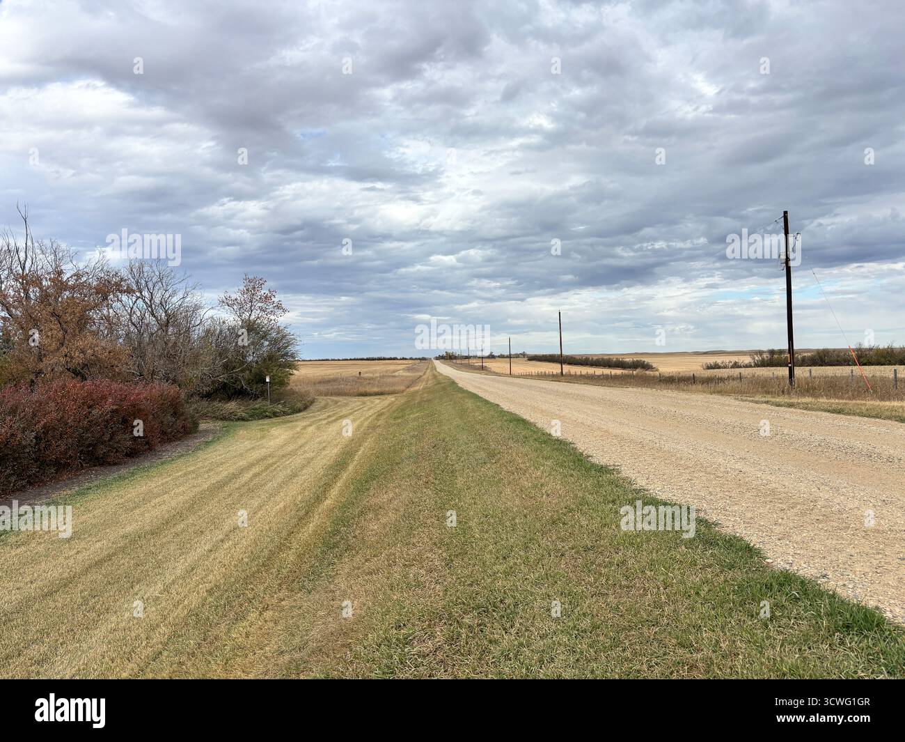 Quiet gravel road stretching through a rural prairie landscape, flanked by grassy fields and bushes under a vast, cloudy sky. - Smartphone Captured Stock Image Quiet gravel road stretching through a rural prairie landscape, flanked by grassy fields and bushes under a vast, cloudy sky. - Smartphone Captured Stock Image