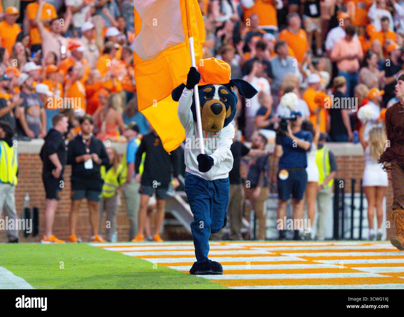 Arkansas razorbacks mascot hi-res stock photography and images - Alamy