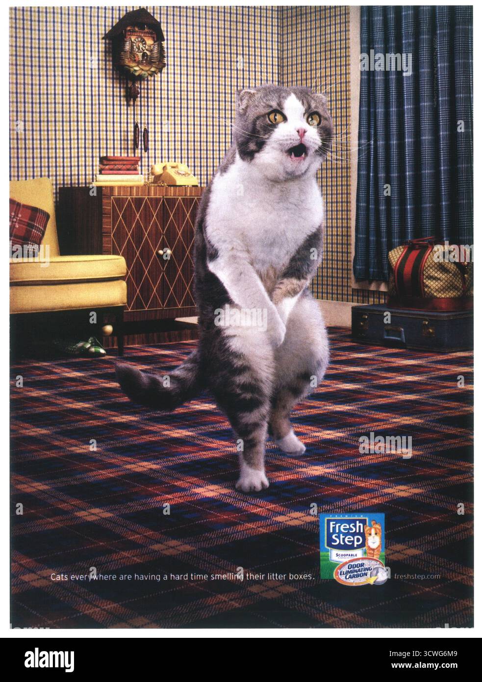 2010 Fresh Step cat litter ad Stock Photo