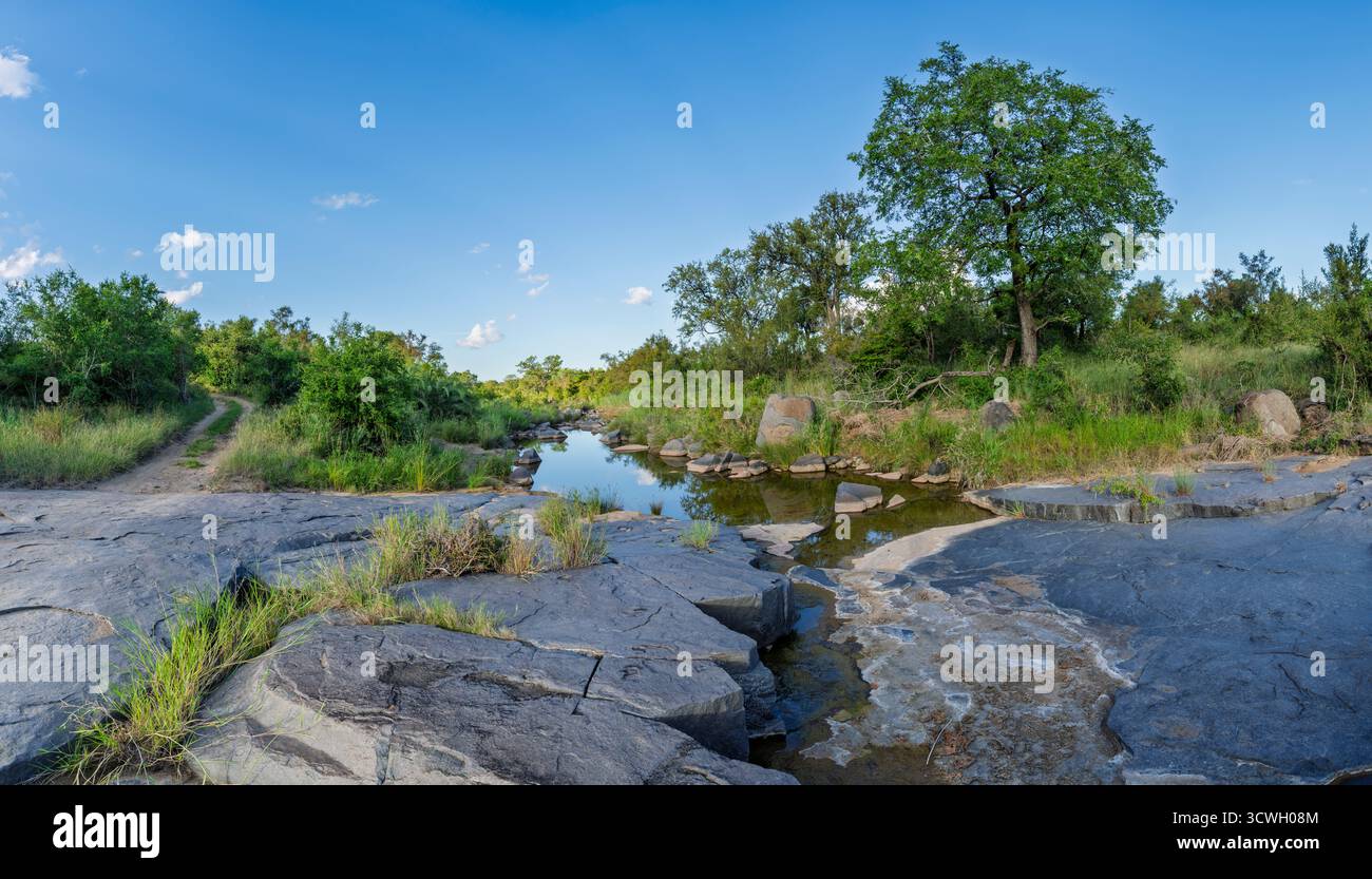 Landscape at Sabi Sand Game Reserve, a private game reserve adjacent to the Kruger National Park in the Lowveld of Mpumalanga, South Africa Stock Photo