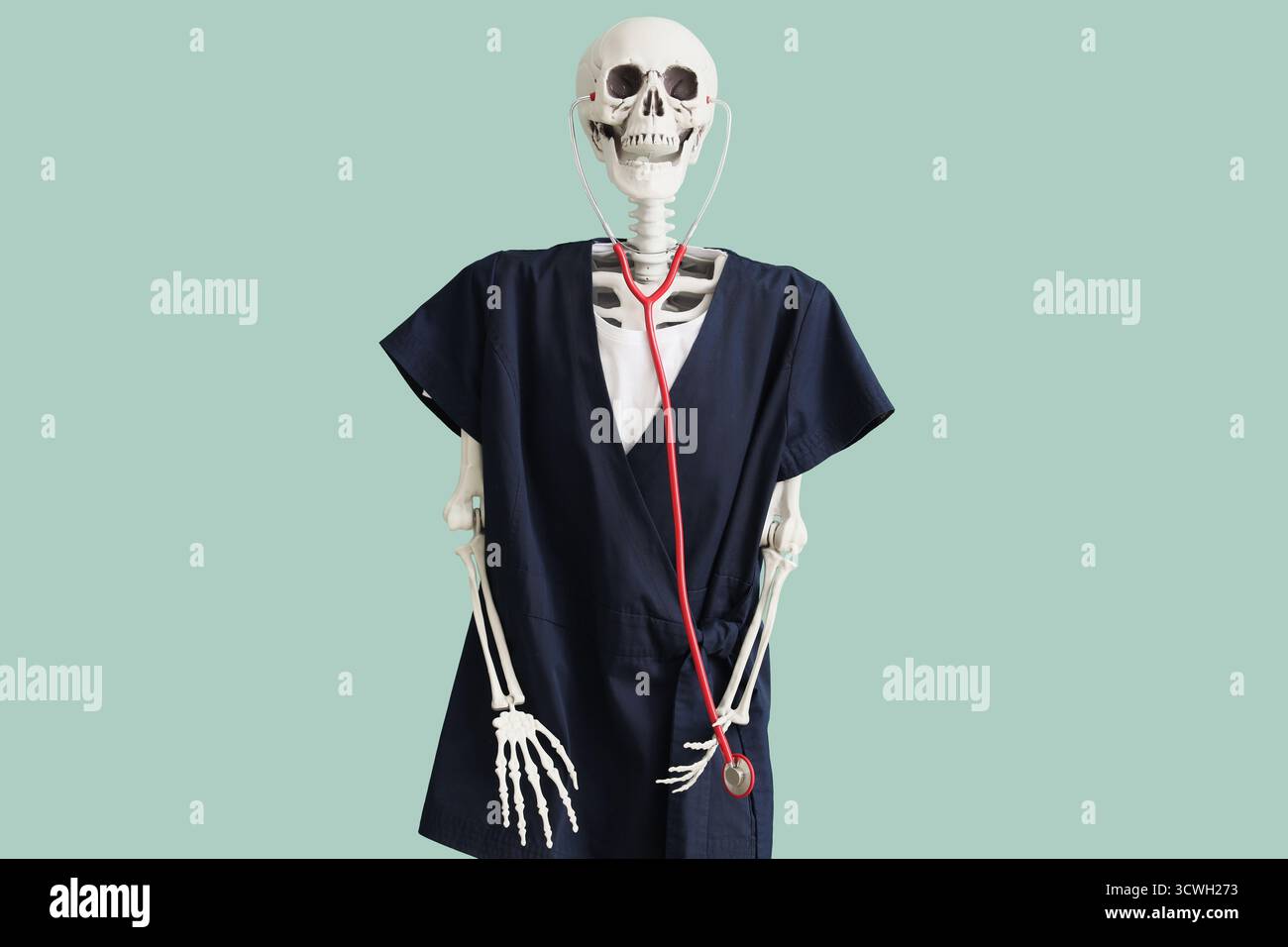 Human skeleton in black medical uniform with stethoscope on turquoise background Stock Photo