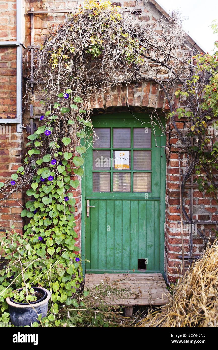 Vertical Gardens In A Greenhouse » Garden \u0026 Greenhouse, image size:866x1390