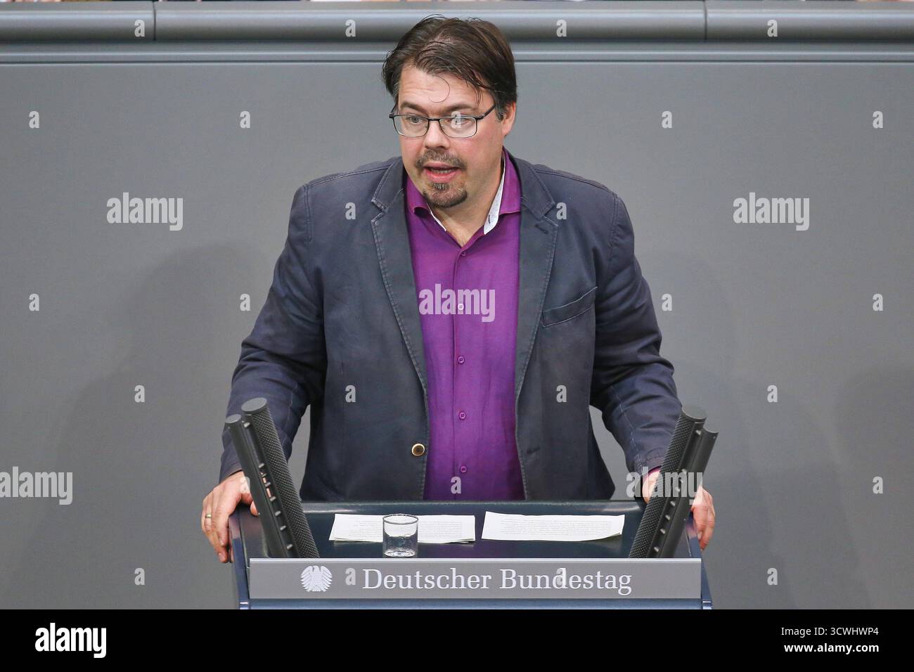 Helge Limburg Grüne Linke Diätengesetz 2026 Financial and Political Stakes