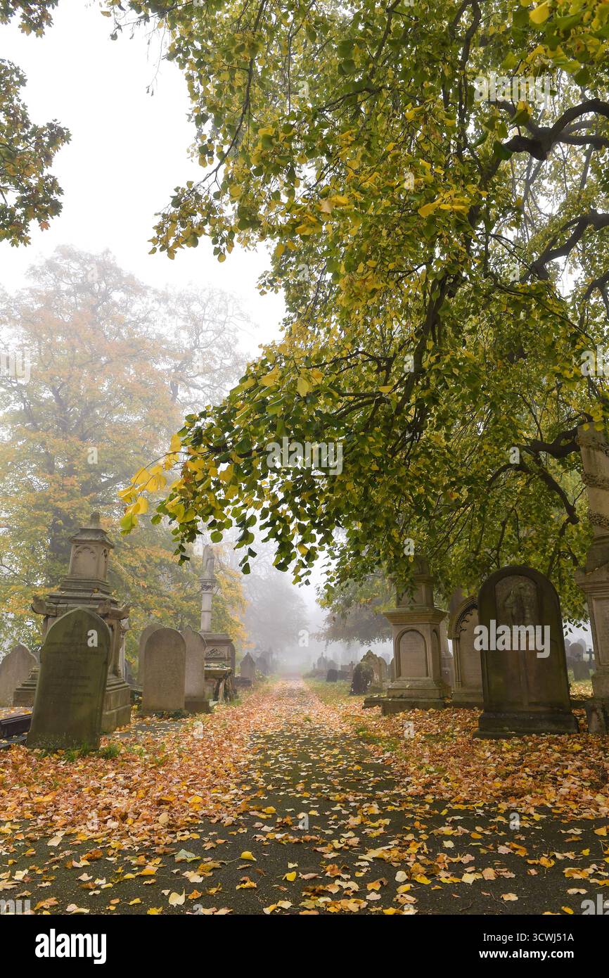 alex-hannam-photographygeneral-views-of-