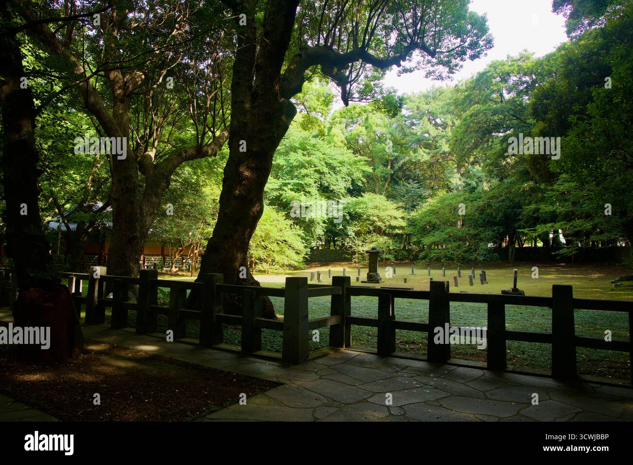 From a shaded fence line, the sacred lawn and central stele of Samseonghyeol are framed by mature trees across the inner enclosure. Stock Photo