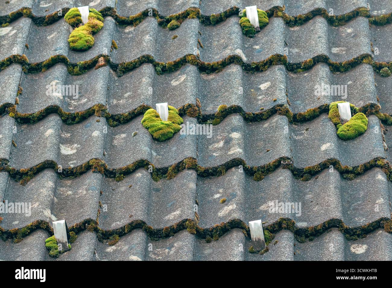 Snow guard stoppers on old cement tile roof covered with green moss. Selective focus. Stock Photo