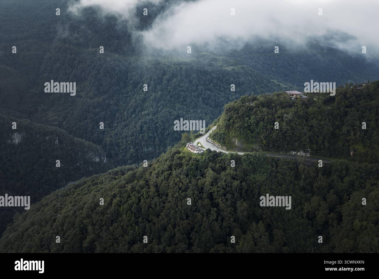 Aerial view of a winding road cutting through the dense, verdant ...