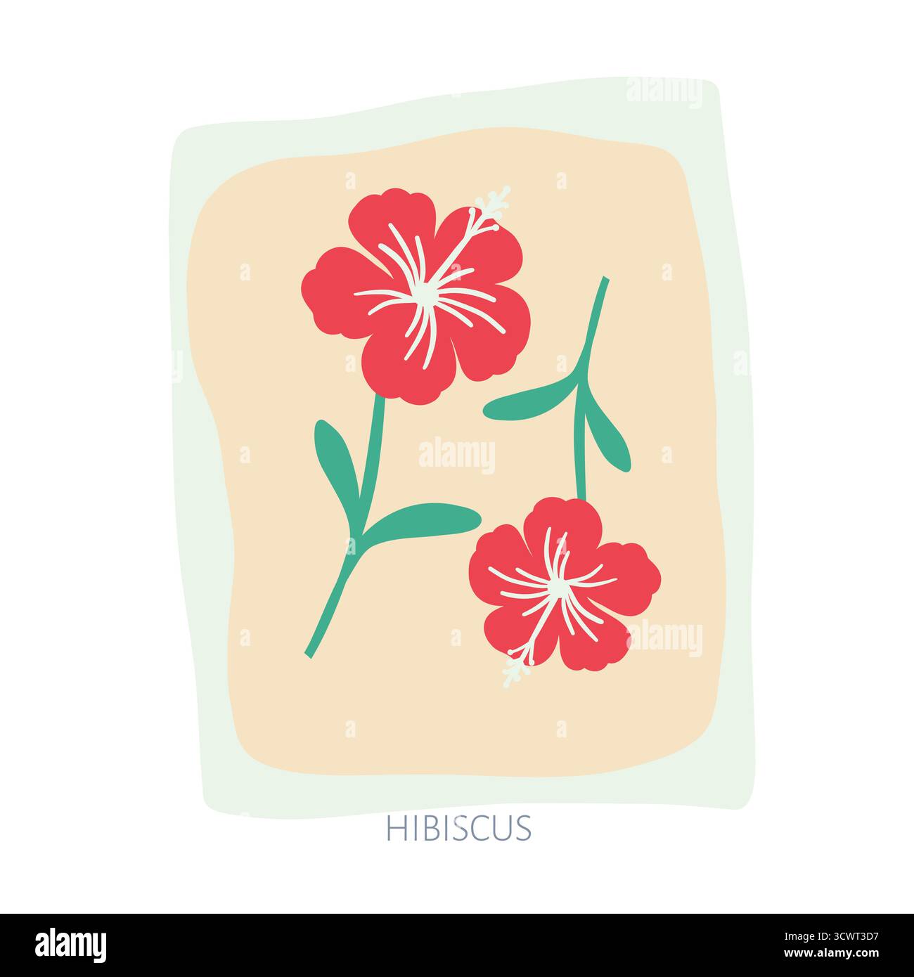 Hibiscus hand drawn illustration Stock Vector Image & Art - Alamy