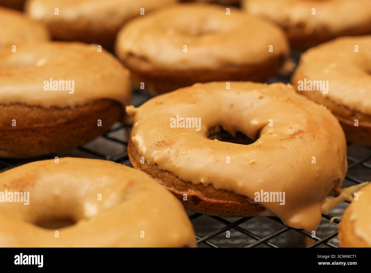 Fresh Homemade Pumpkin Spice Donuts on Wire Rack Stock Photo