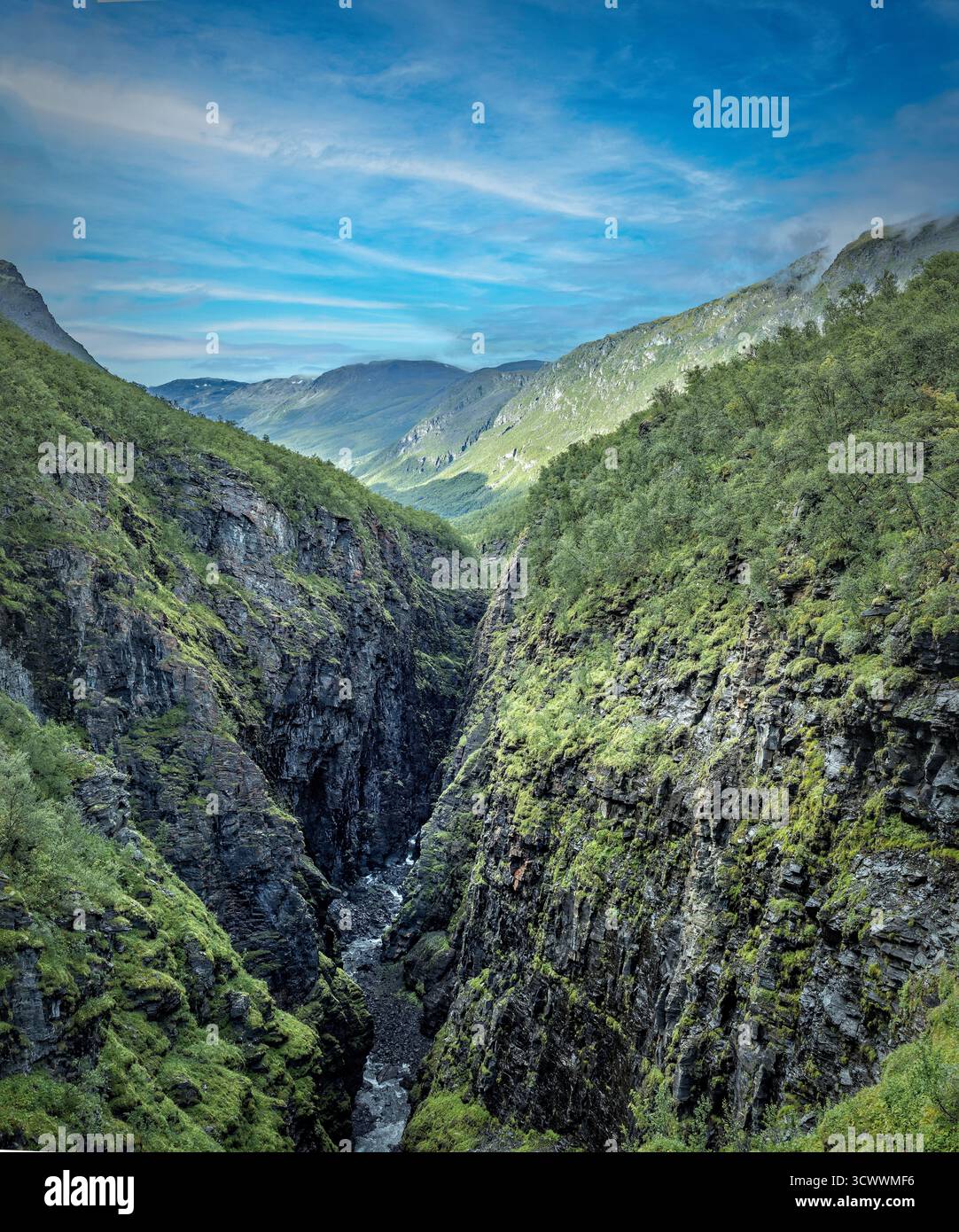 Scenic view on the Gorsa gorge in Norway Stock Photo