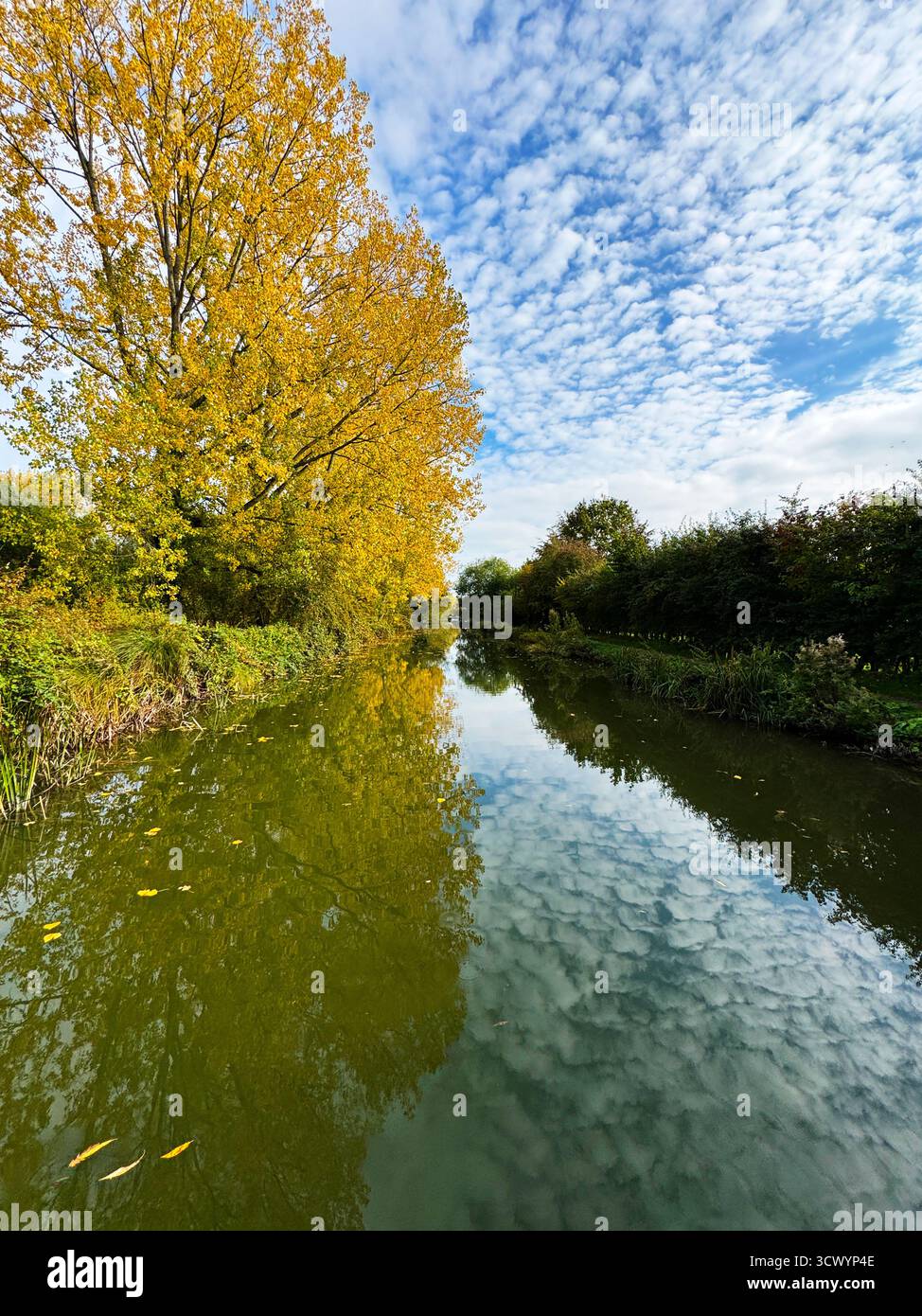 Autumn along the Kennet and Avon Canal near Hungerford in Berkshire. - Smartphone Captured Stock Image