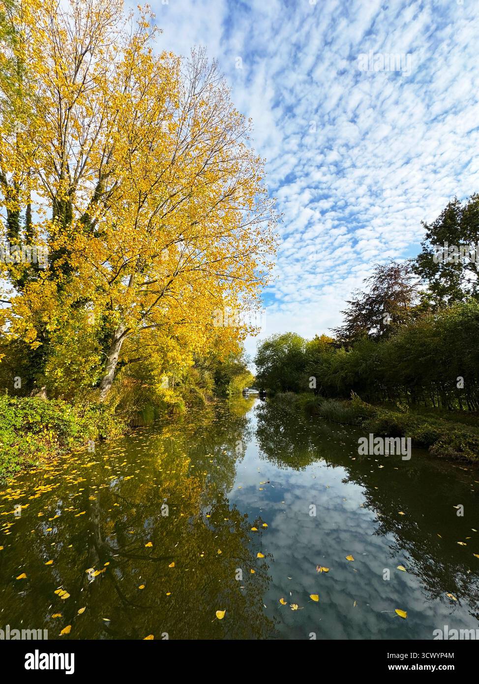 Autumn along the Kennet and Avon Canal near Hungerford in Berkshire. - Smartphone Captured Stock Image