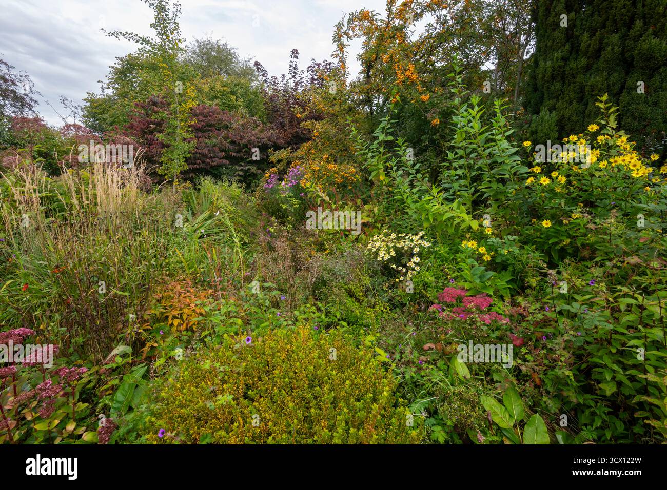 English country garden in autumn with mature planting of mixed trees ...