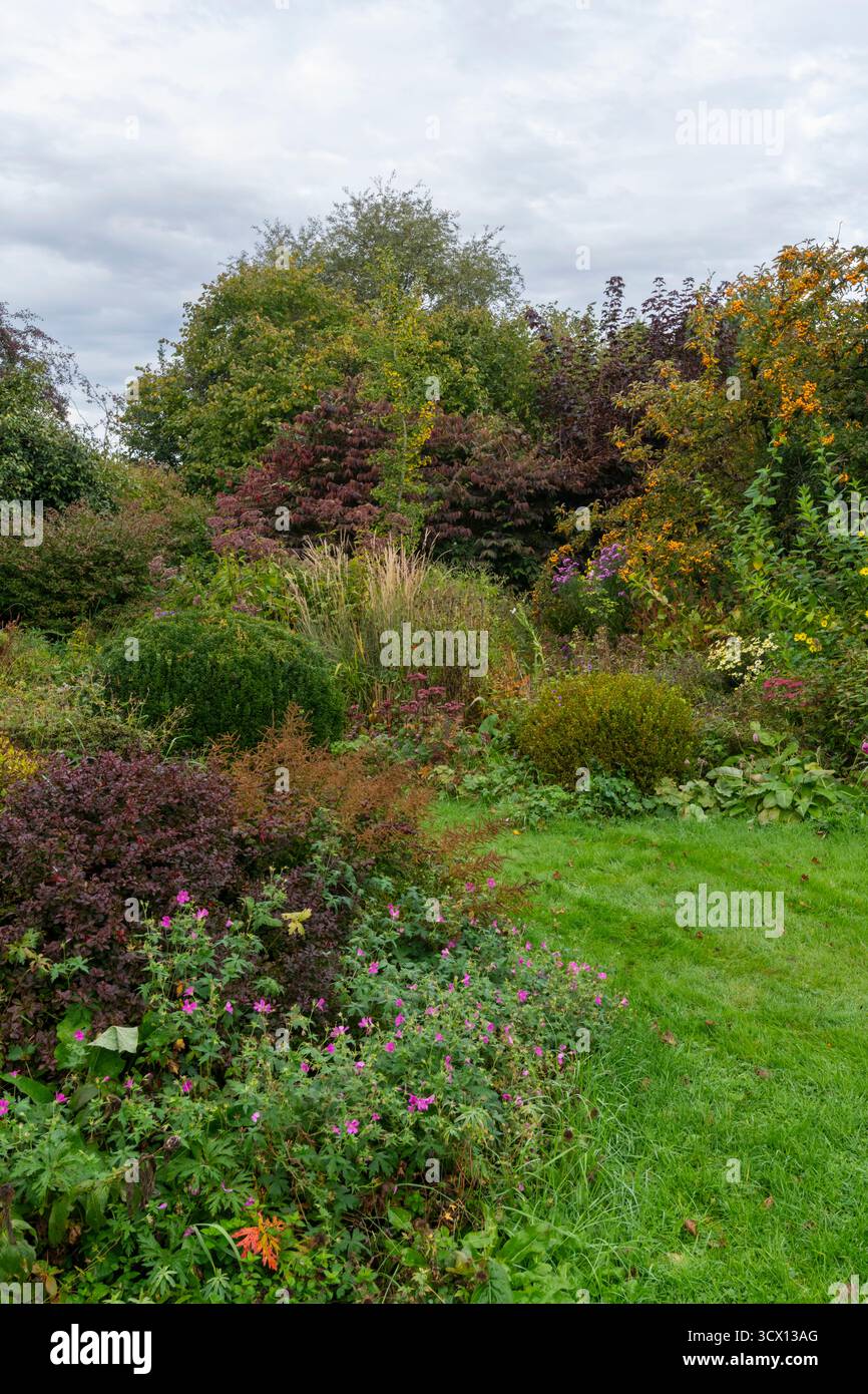 English country garden in autumn with mature planting of mixed trees ...