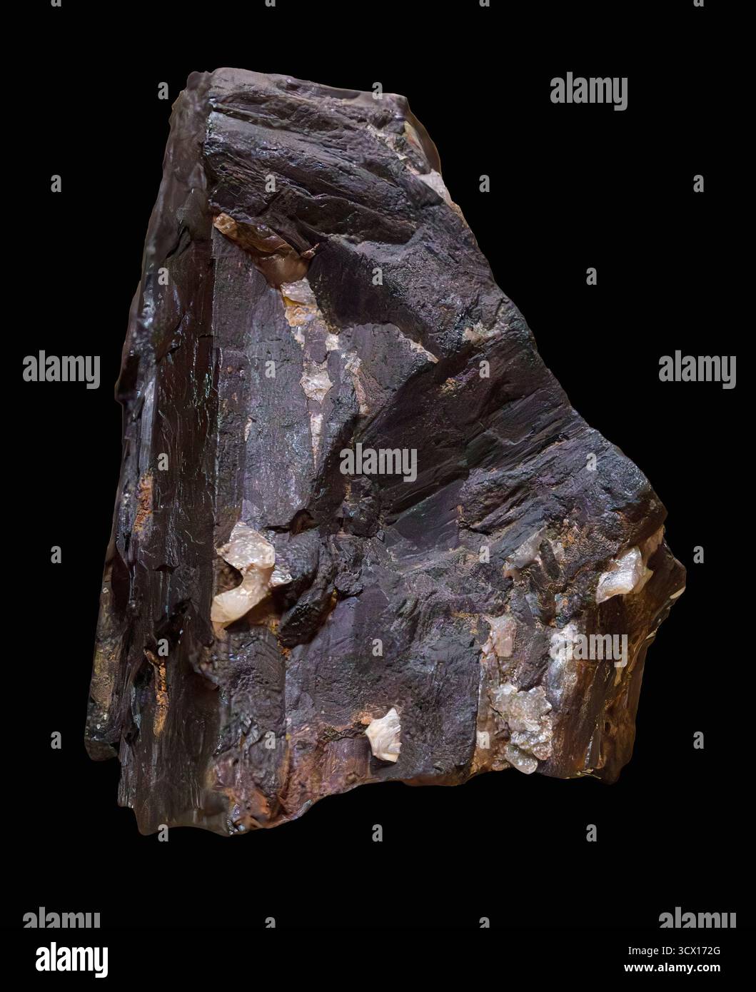 Hübnerite (MnWO₄), large cleavage piece, high-grade manganese tungstate ore, Rhodesia, Africa. Stock Photo