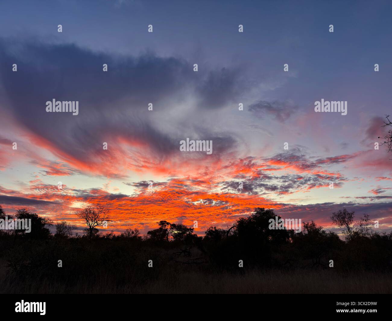 A wide angle shot of a beautiful African sunset - Smartphone Captured Stock Image