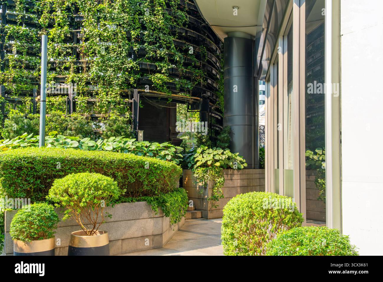 Modern urban garden with vertical green wall, manicured bushes and ...
