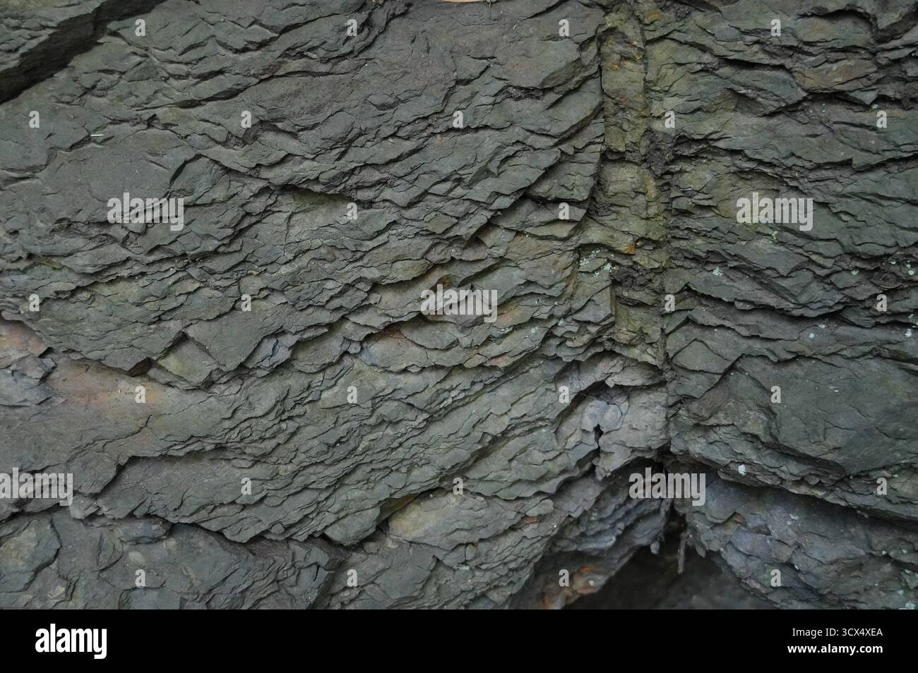 Natural  rock or Stone  surface as  background texture close up Stock Photo