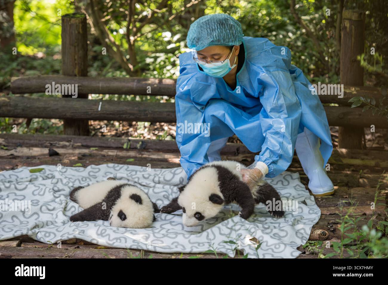 Chengdu, China - September 28, 2018: Nurse attendant caring for baby ...