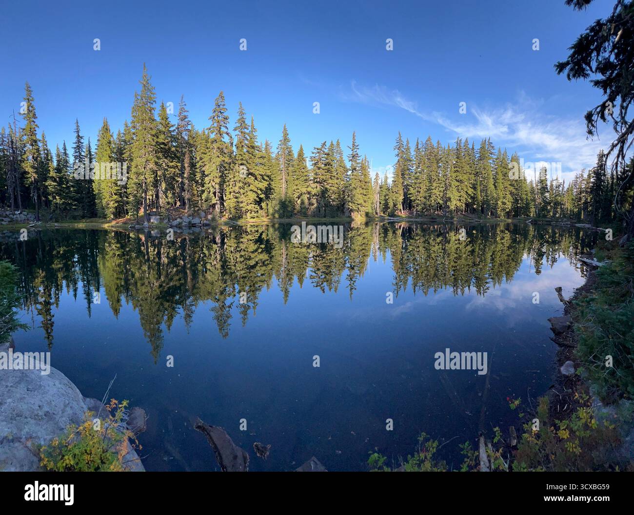Nature's Beauty of Oregon - Smartphone Captured Stock Image
