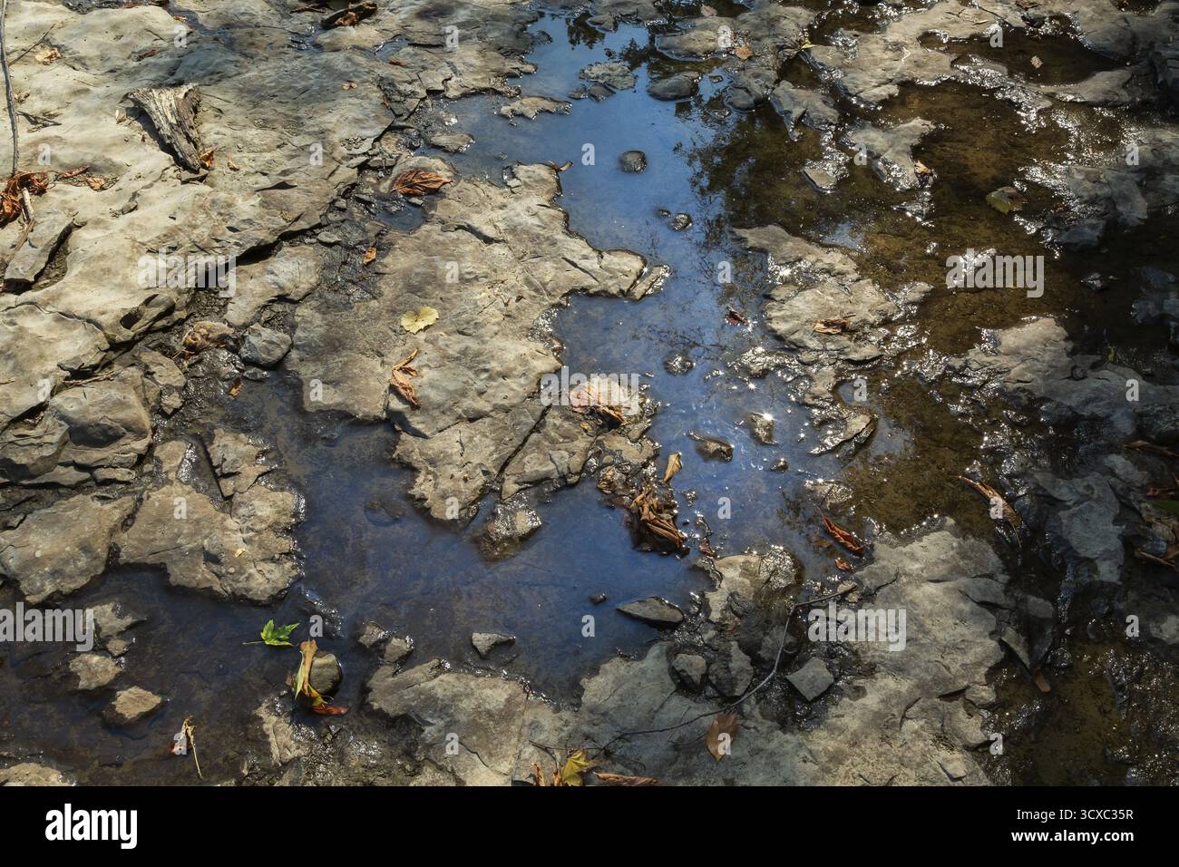 Accidental spilled oil in puddle of water in dried out flat rock river ...