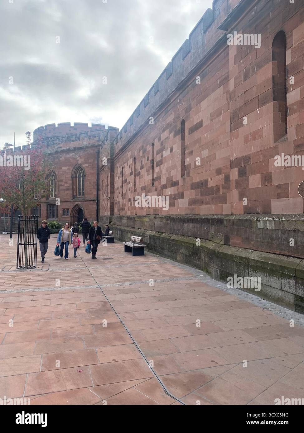 Carlisle British rail steam engine Diesel electric train trains UK Britain famous place Jail Goal First Class driver Tangmere fast smoke holiday people - Smartphone Captured Stock Image