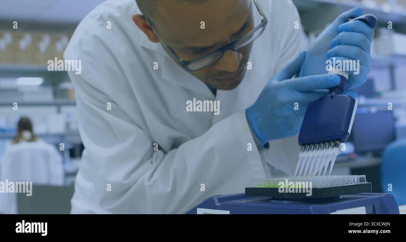 Leaning scientist in lab coat dispensing liquid into 96-well plate at lab bench, with pipette Stock Photo