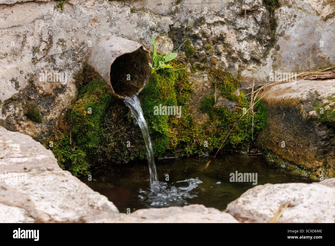 Channeled water spring source in the Sierra de Mariola Natural Park, Bocairent, Spain Stock Photo