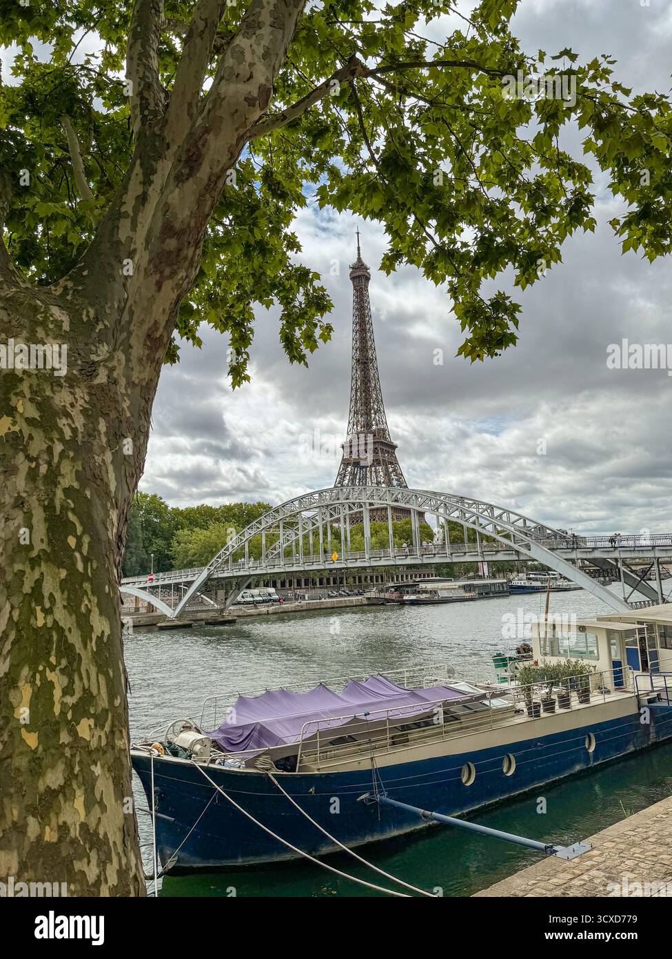 Eiffel Tower framed by a plane tree and the Bir-Hakeim Bridge arch on the cloudySeine riverbanks in Paris - Smartphone Captured Stock Image