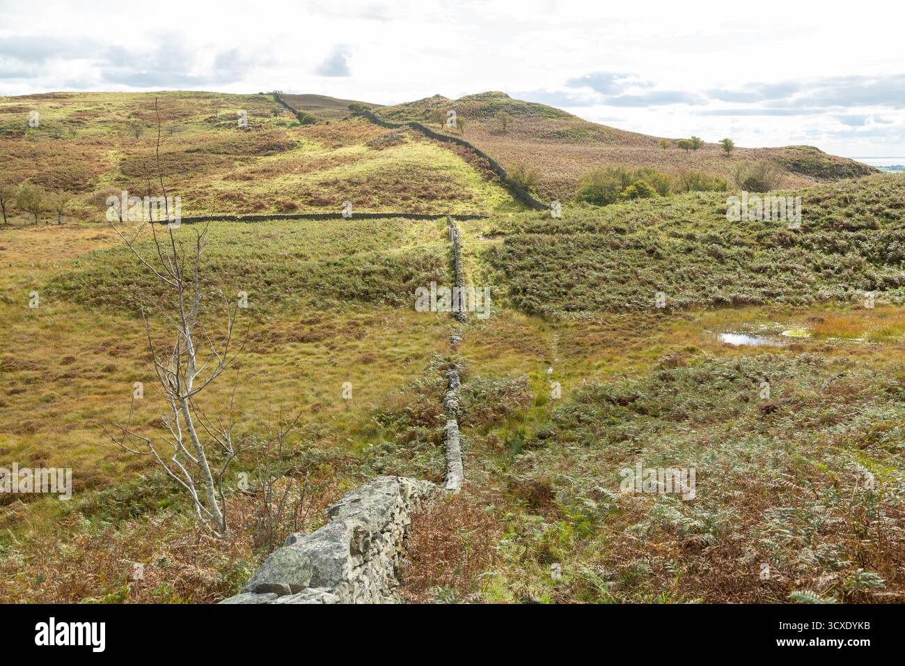 High Newton North Top, Cumbria, England Stock Photo
