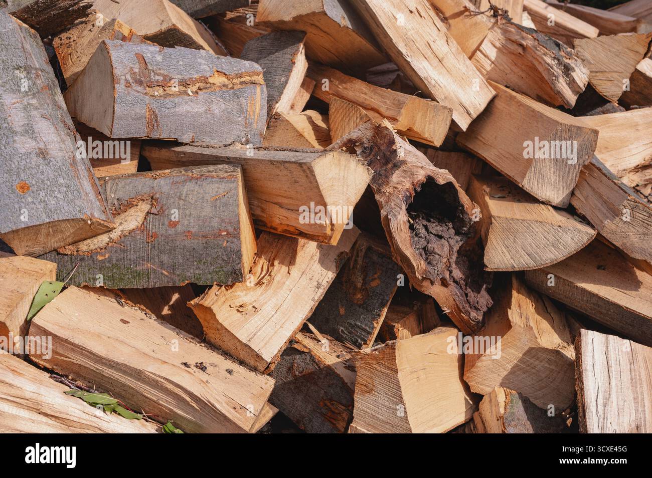 A pile of freshly cut raw firewood logs stacked outdoors perfect for concepts like winter heating, rustic themes, or renewable energy. Stock Photo