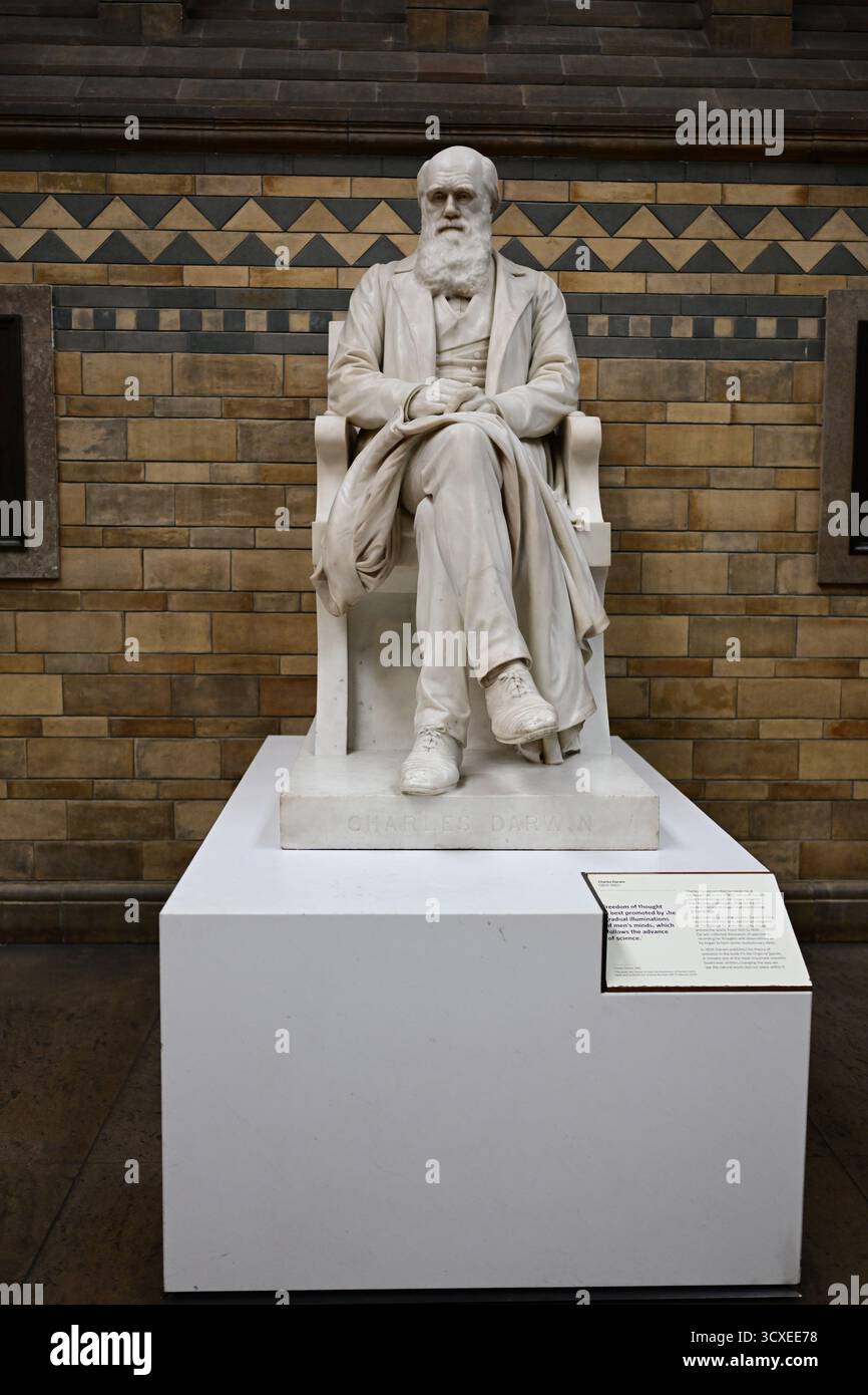 London, United Kingdom, October 7 2025. Charles Darwin Sculpture In The ...