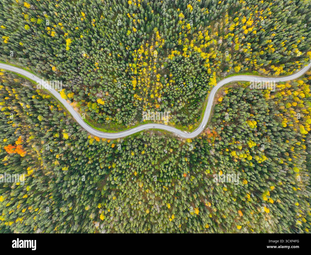 Overhead shot dense green forest hi-res stock photography and images ...