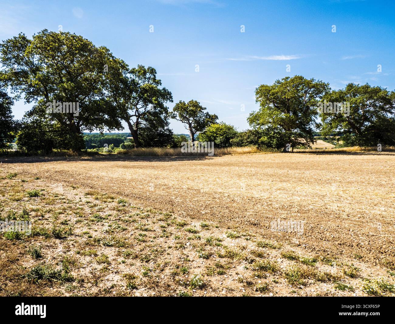 Sitemapcdatahttpsainfbizidlawn Rolling Near Menull