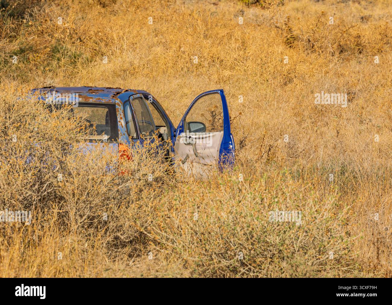 Overgrown car in a field hi-res stock photography and images - Alamy
